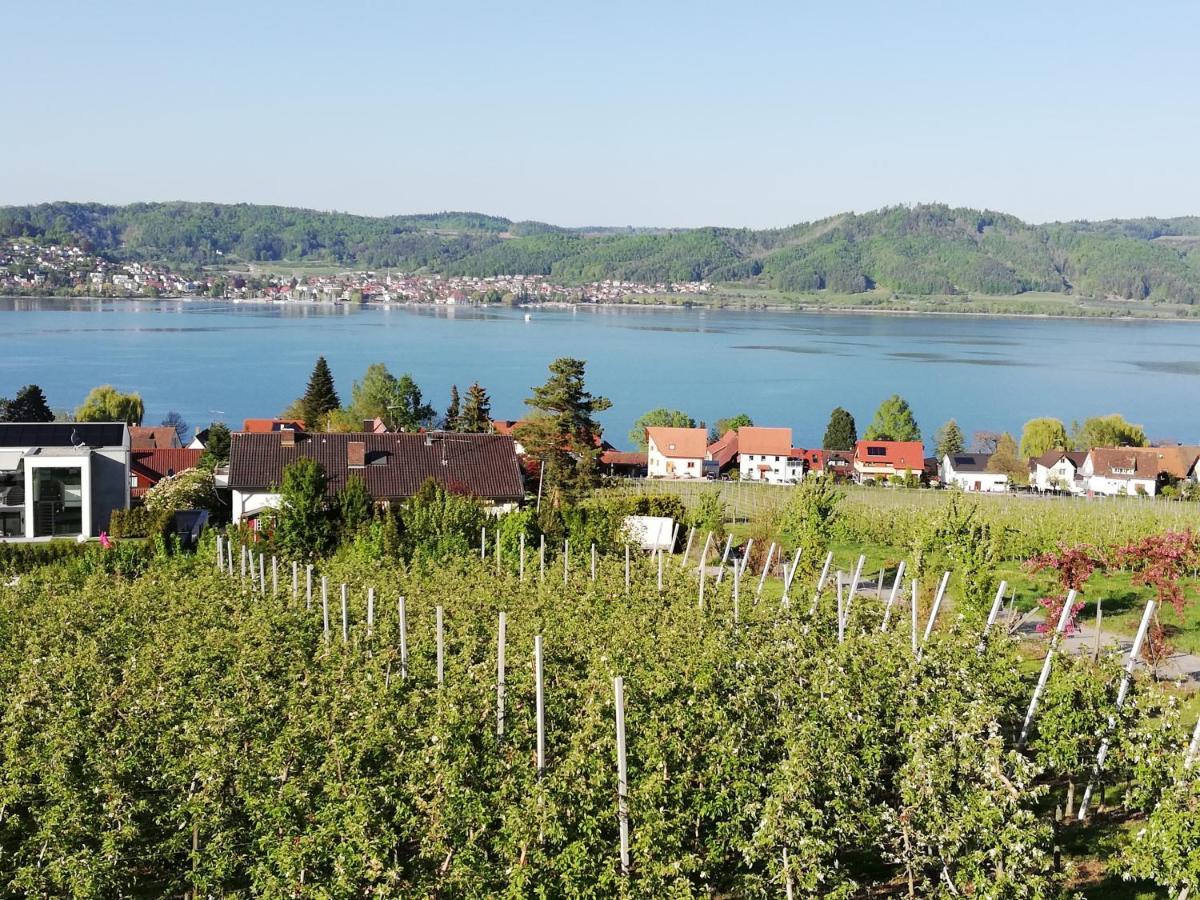 Fewo Segelwind Bodman-Ludwigshafen Luaran gambar