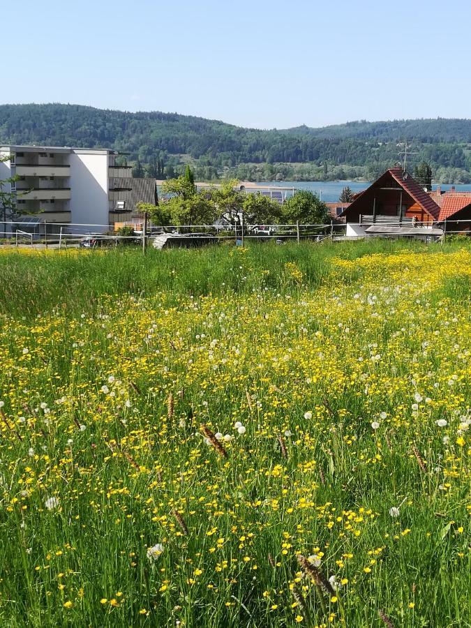 Fewo Segelwind Bodman-Ludwigshafen Luaran gambar